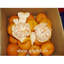 Nuevos cultivos de mandarina fresca china